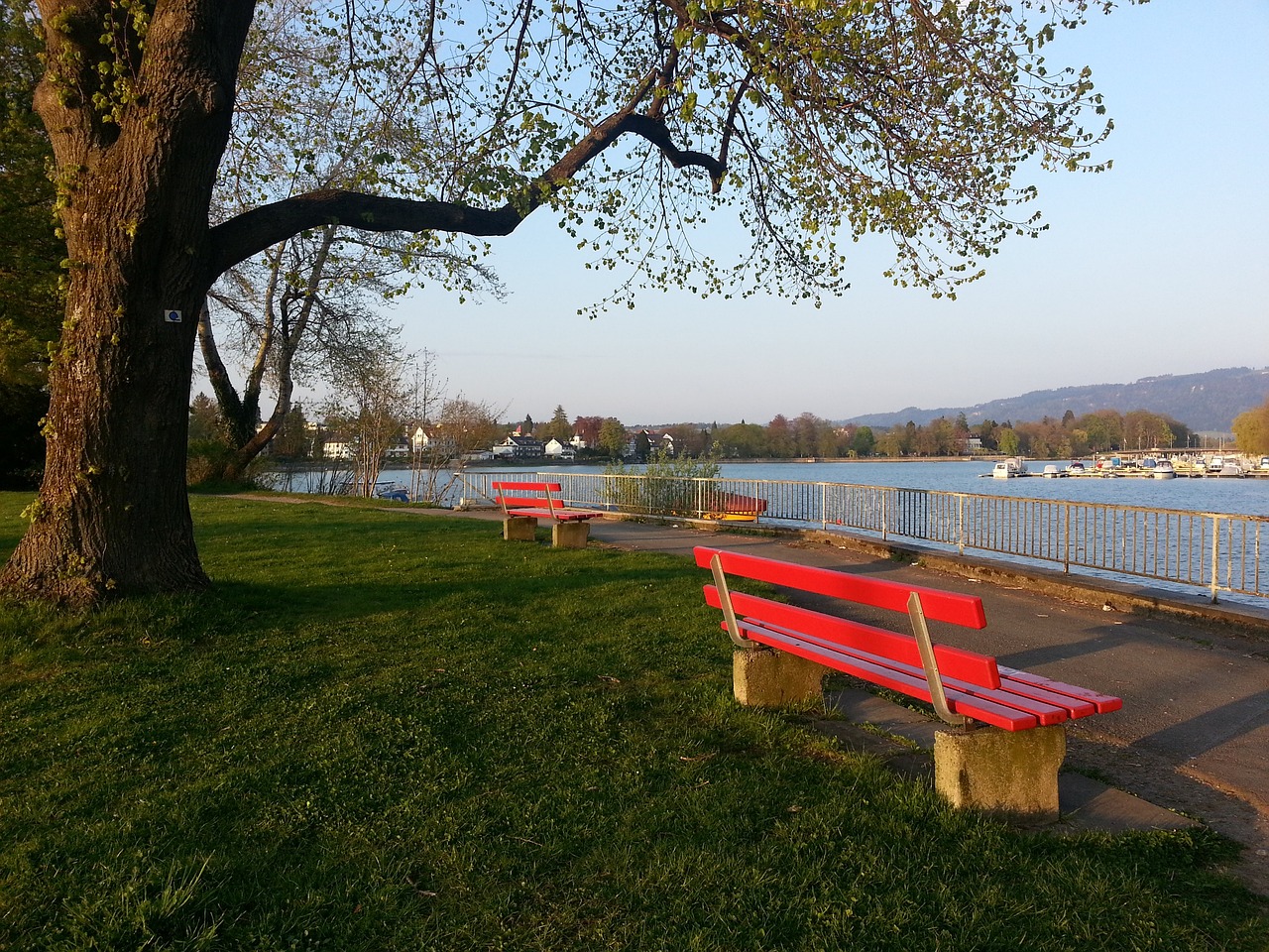 以形