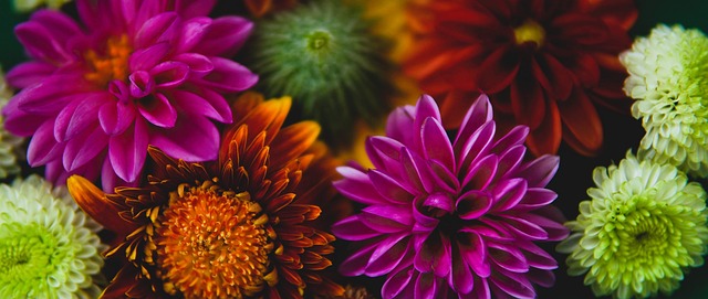 到曼联的未 到曼联的未