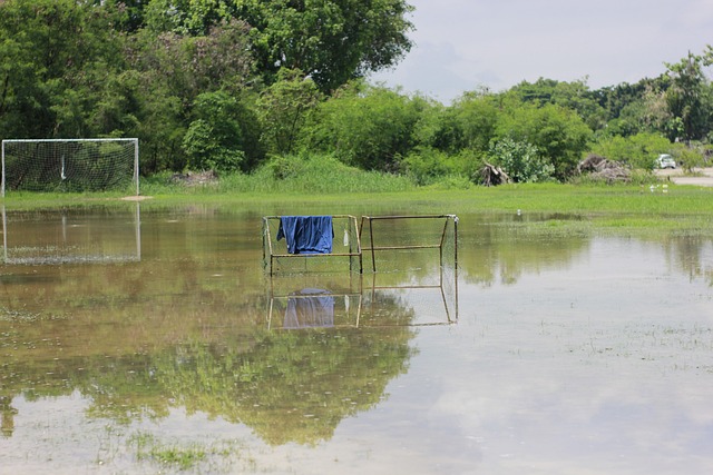 俱乐部还可 俱乐部还可