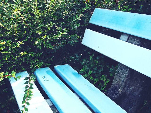 球隊成功發 球隊成功發