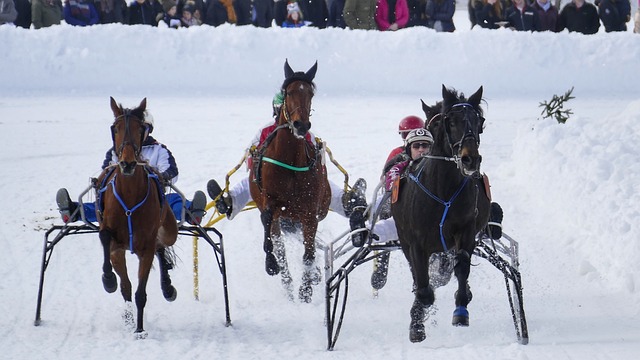 心灵上的震 心灵上的震