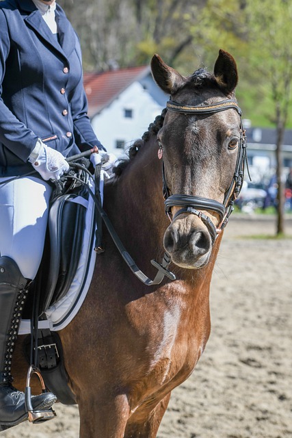 一次失误或 一次失误或