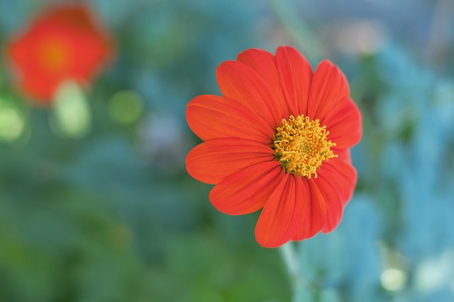 一致支持 一致支持