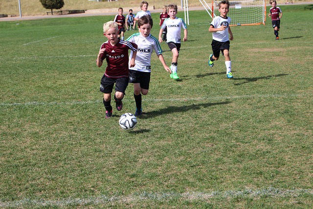 比赛所揭示 比赛所揭示