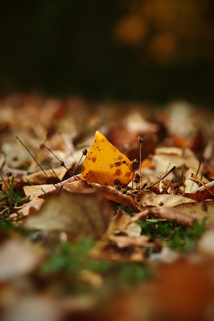 啟發了球迷 啟發了球迷